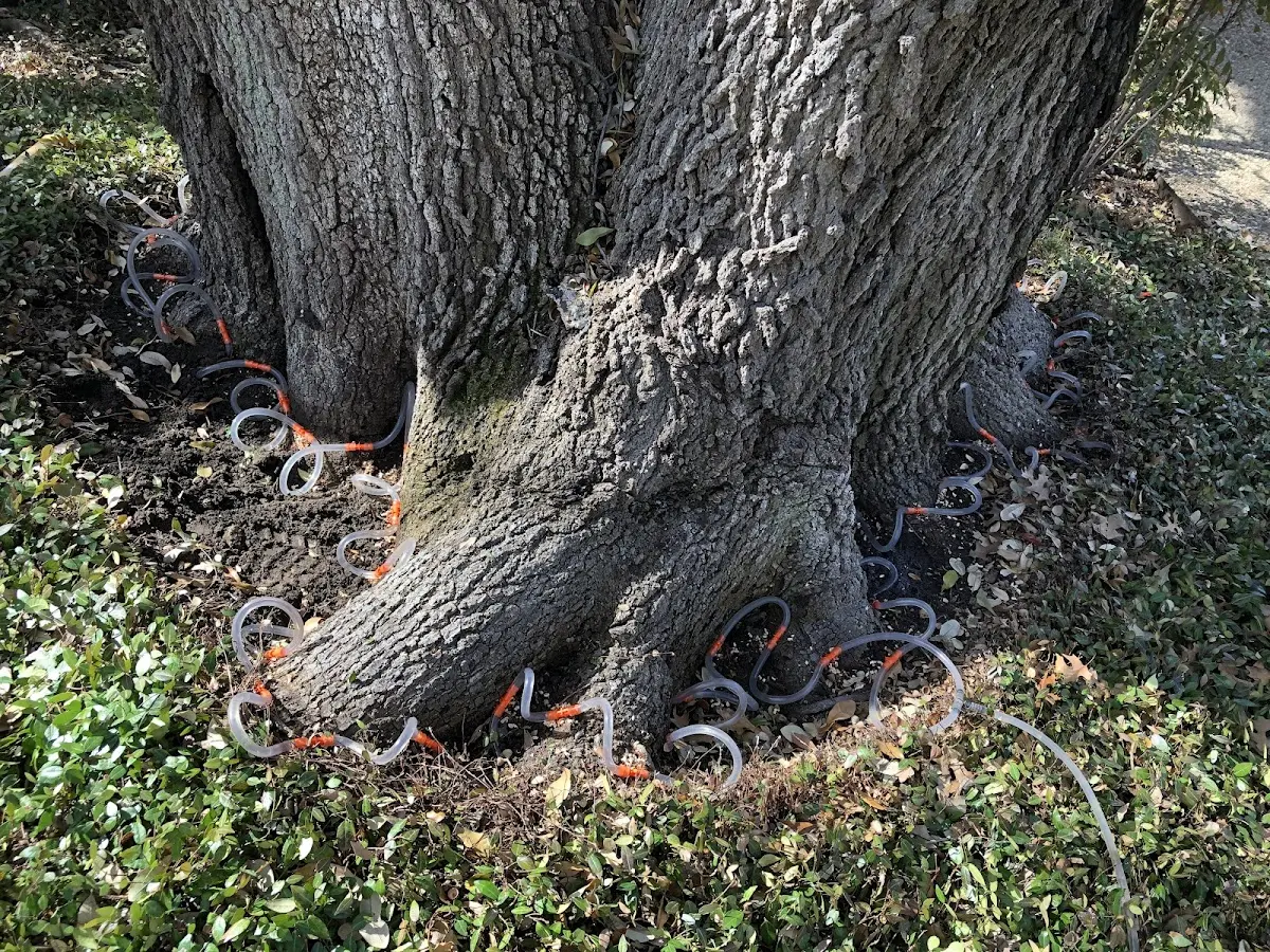Detailed Shrub and Hedge Trimming job site in Mooreland