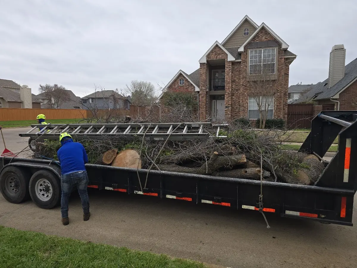 Expert Tree Fertilization with proper safety equipment in Mooreland